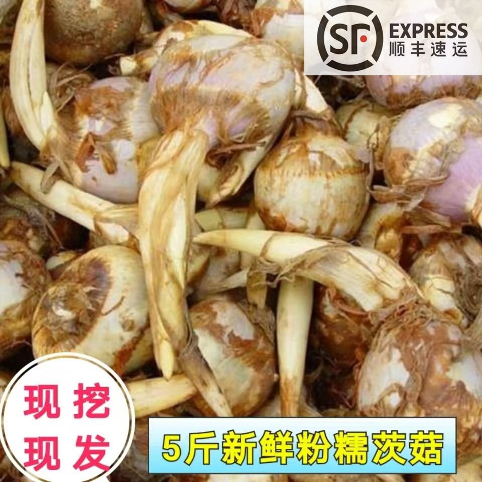 苏北白茨菇新鲜茨菰粉糯芽菇马蹄荸荠慈菇新鲜慈姑蔬菜燕尾草