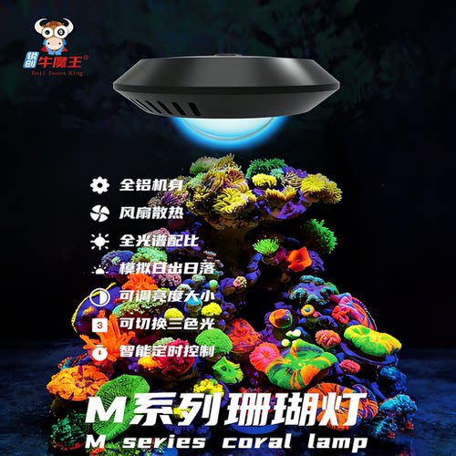 锐创M-11珊瑚灯定时三色光