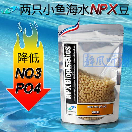 美国两只海水荷兰豆鱼缸np高效