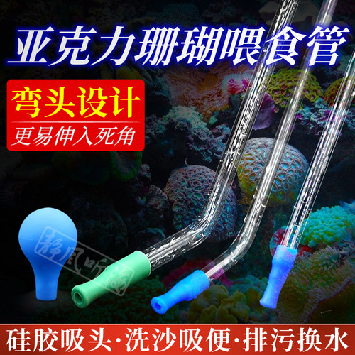 静风听海珊瑚喂食器珊瑚喂食