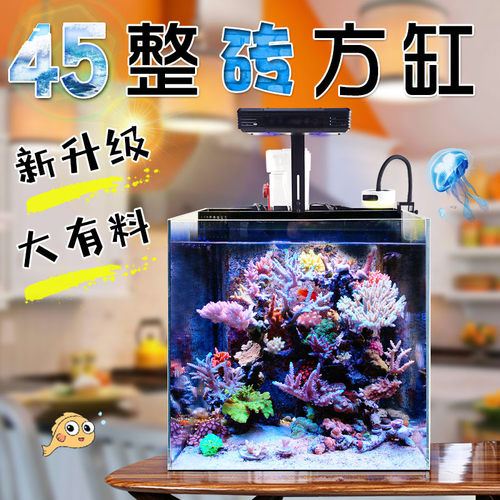 海水海缸超白45方缸珊瑚缸