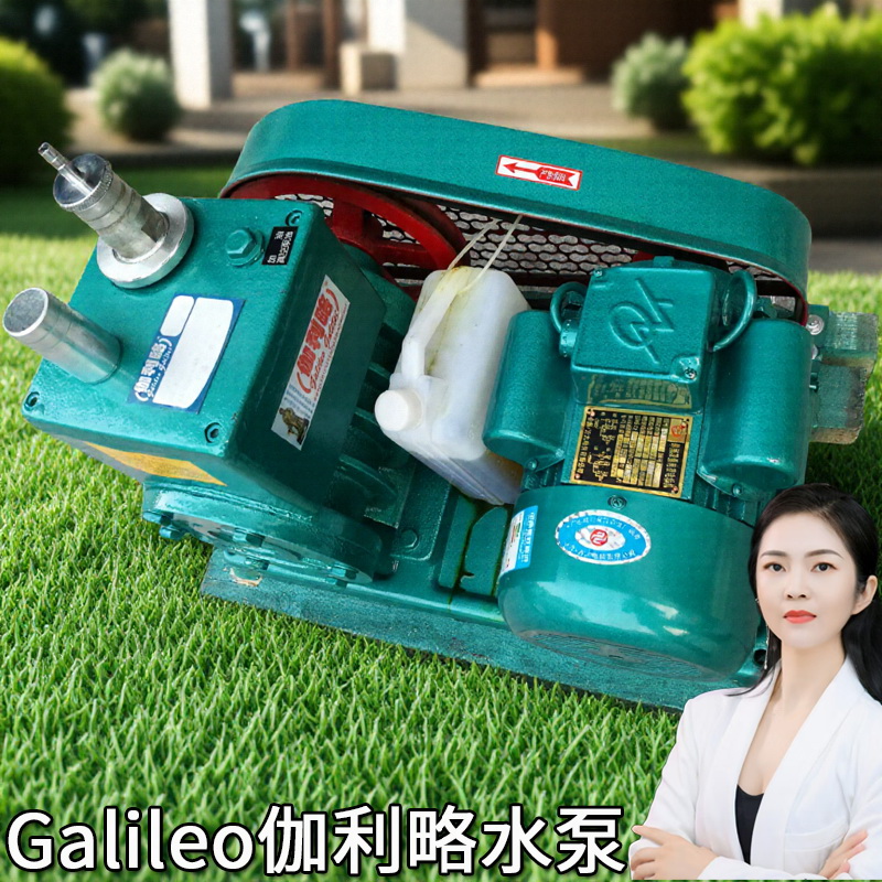 型旋片双级系列南京片式升55kw真空泵8l价格泵