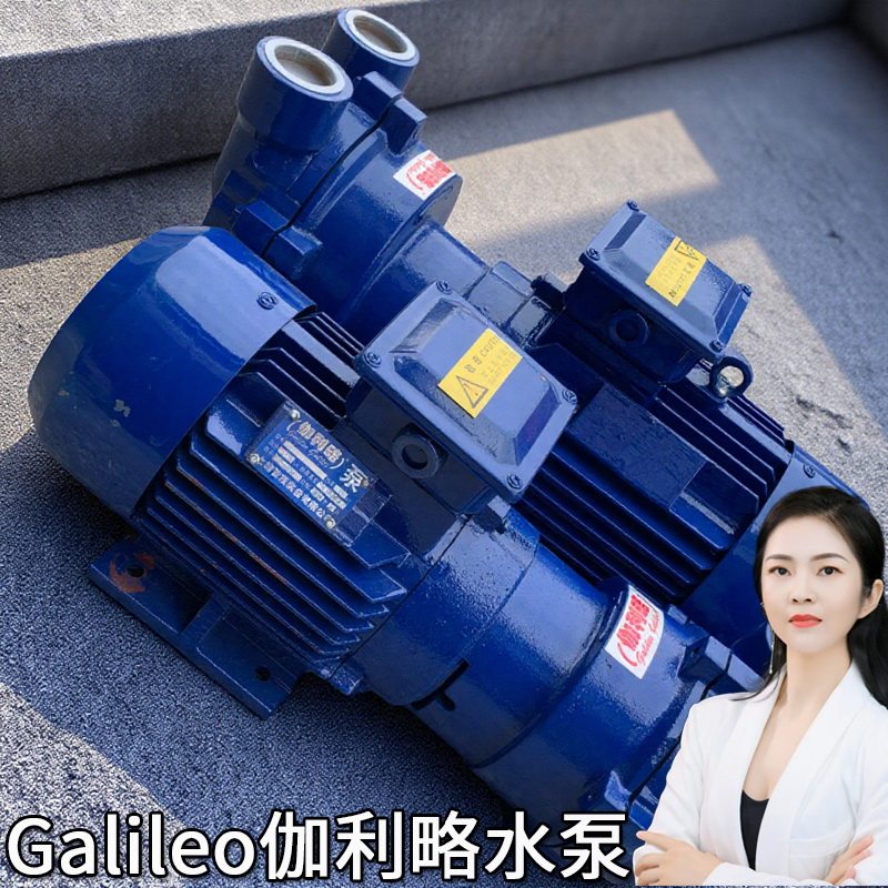 系列淄博小大型深圳进口负压片爪立式专用抽2bve液循环真空气泵