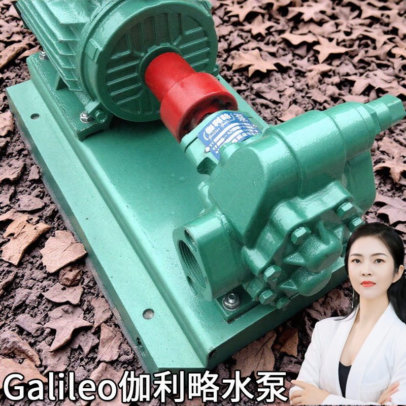 2cy型进口双联内和啮合kcb式电动齿轮输油液压泵不锈钢泵