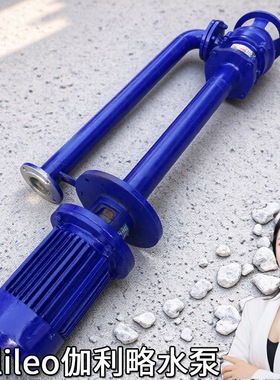 ry熔盐液下泵立式液下泵各种液下泵液下排污水泵安徽液下泵液下泵