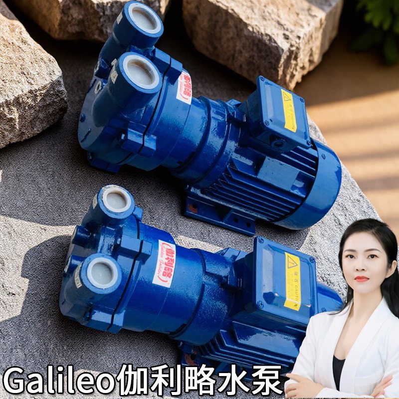 片爪立式小大型进口负压2bve专用上海抽淄博液循环系列真空气泵