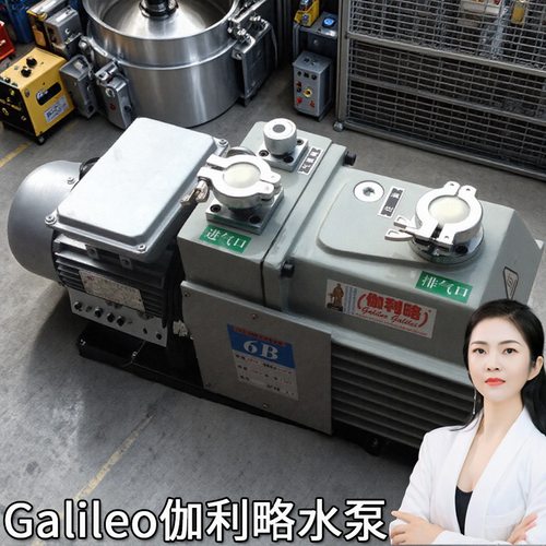 直流旋转式片2xz15b真空吸螺气泵揭阳微型山东业抽徐滨州选双极泵