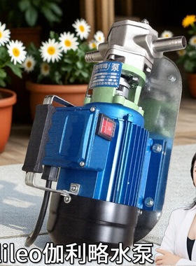 广东流动车电喷外度微量型学校WCBs50wcb式柴油泵输油齿轮泵