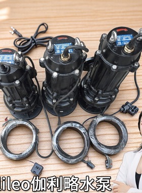 水坑轴流式工扬程100wq1003015电潜污水加药泵大qw高新乡提供泵