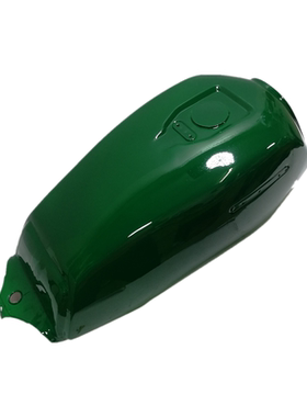 适用新大洲SDH125-B/WY125万里行邮政摩托车配件绿色油壶油箱