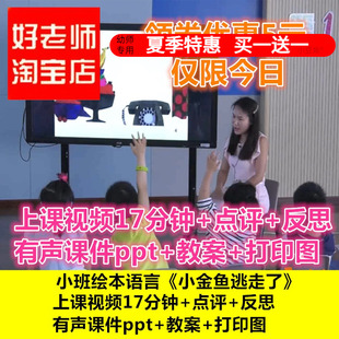 幼儿园动物花花衣小班绘本语言《小金鱼逃走了》优质公开课课件