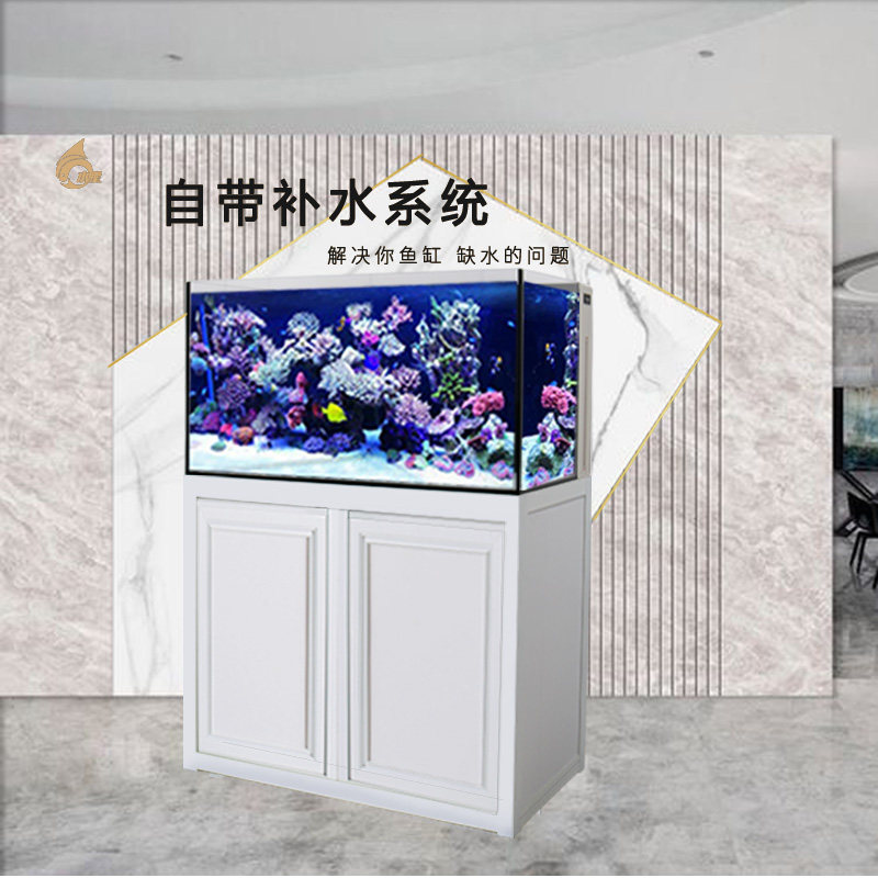 水星背部带补水双出水海水缸底滤缸珊瑚缸焦岩水族箱办公室家用,宠物/宠物食品及用品,桌面缸,淘宝优惠券,粉丝福利购,淘宝优惠卷