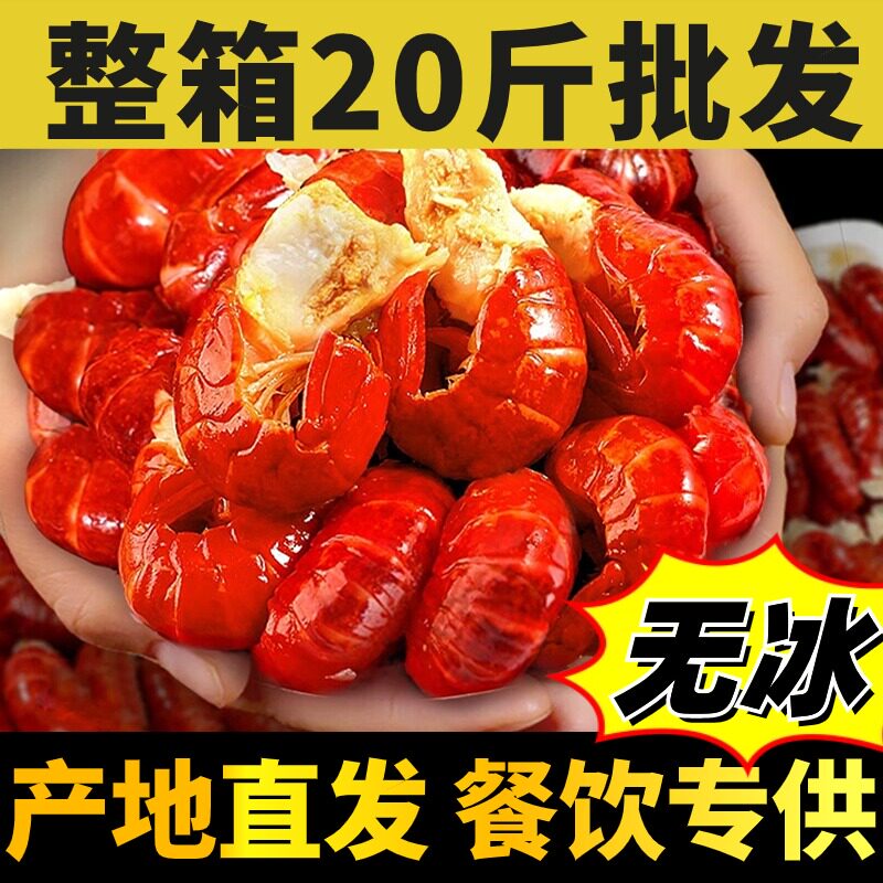 无冰衣虾尾鲜冻小龙虾冷冻生鲜新鲜特大号麻辣虾球批不带冰整箱发