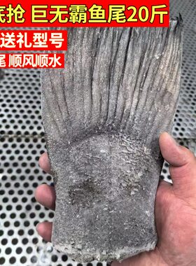 鲽鱼尾鸦片鱼尾新鲜鲜活冷冻鱼尾巴鲽鱼批发烧烤商用深海大碟鱼