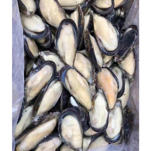蓝口贝鲜活冷冻冻干商用青口贝贻贝海虹淡菜半壳贝类海 约7斤95只
