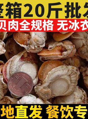 新鲜扇贝肉野生冷冻带黄扇贝肉海鲜自助捞汁小烧烤火锅食材皇冠贝