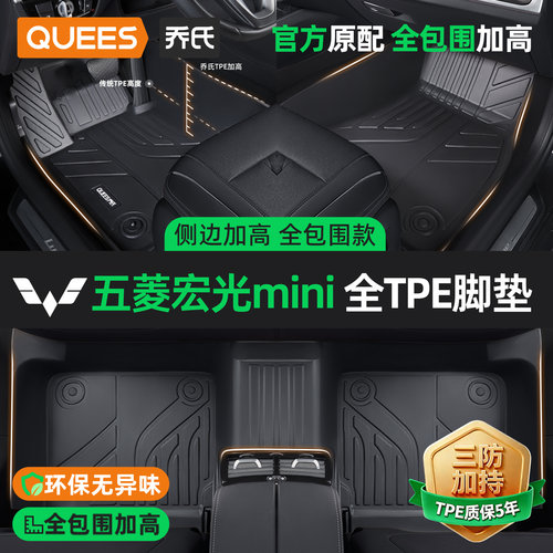 乔氏五菱tpetpe汽车脚垫