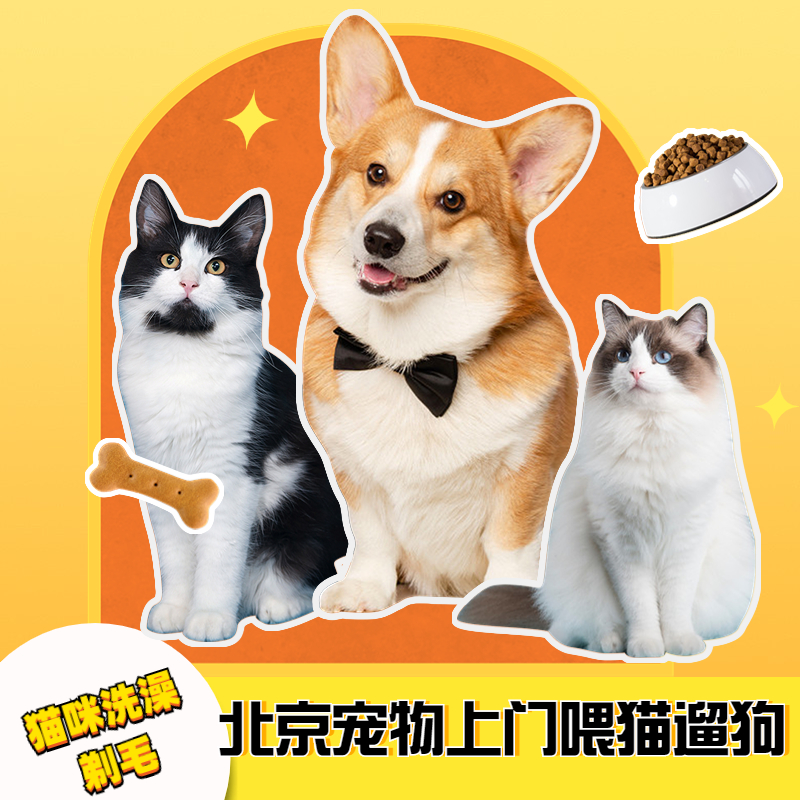 北京宠物上门喂猫遛狗托管上门家庭散养开结剃毛洗澡驱虫剪指甲