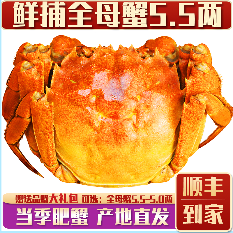 【余记17老店】特大余记大闸蟹鲜活螃蟹公母湖蟹8只河蟹5两母礼盒