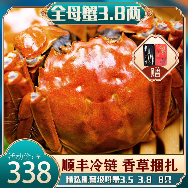 【中秋礼盒】特大全母大闸蟹8只