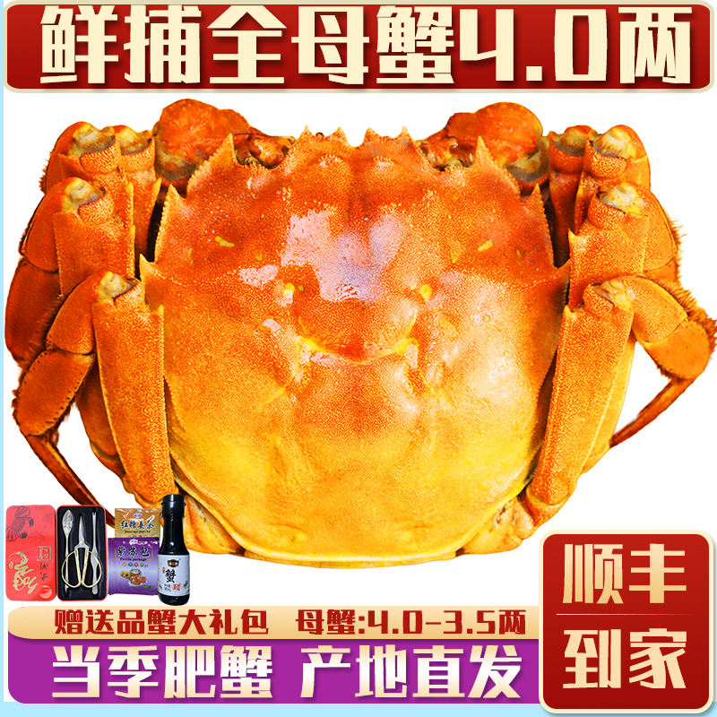 【余记17年老店】大闸蟹鲜活螃蟹公母湖蟹河蟹大蟹4.0两母礼盒