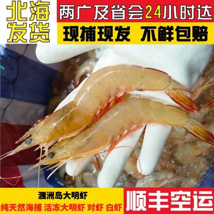涠洲岛大明虾纯天然 大规格野生海虾当日虾鲜活速冻 对虾特大顺丰