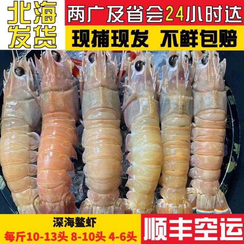 北海西沙鳌虾可刺身海鲜2斤6-13只冰鲜海虾 海鳌虾铁甲小龙大虾