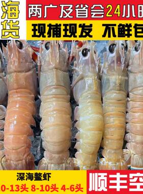 超低温冷冻刺身品质深海鳌虾
