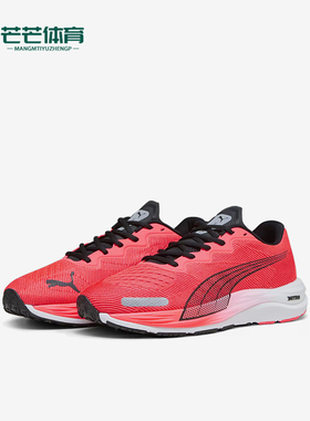 Puma/彪马正品VELOCITY NITRO男士缓震运动跑步鞋195337-16