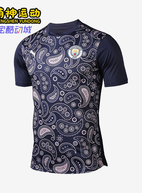 Puma/彪马正品2025男士日常圆领套头耐穿透气足球短袖758030-09