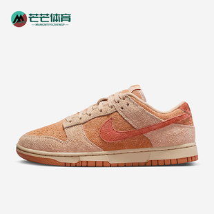 HF5075 Nike 复古潮流耐磨系带板鞋 运动女士时尚 287 耐克正品