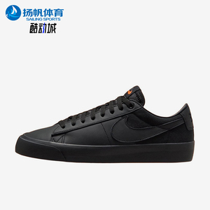 Nike/耐克正品2025男女户外运动耐磨低帮系带休闲板鞋DR9099-001