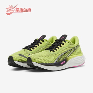 380081 Puma 运动厚底跑步鞋 女士缓震耐磨透气经典 彪马正品 新款