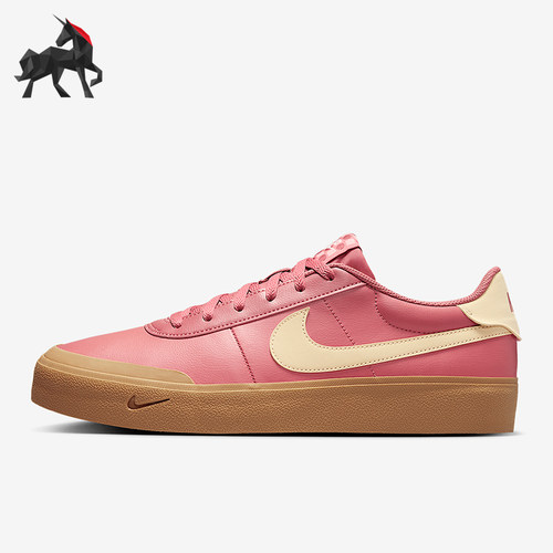 Nike/耐克正品2025男士复古系带低帮经典时尚透气板鞋IB2316-600