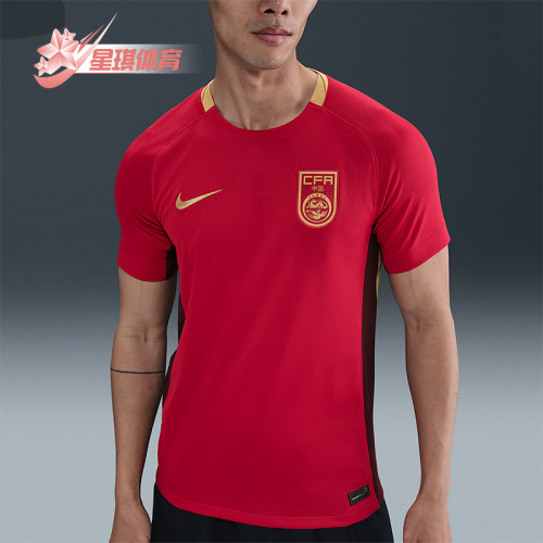 Nike/耐克正品Dri-FIT男士运动足球训练透气经典球衣FZ9018-687