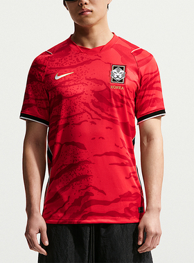 Nike/耐克正品Dri-FIT男士套头舒适经典训练短袖T恤IB5328-679