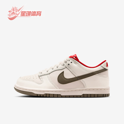 Nike/耐克正品Dunk Low GS女子大童系带耐磨低帮运动鞋IQ9793-020