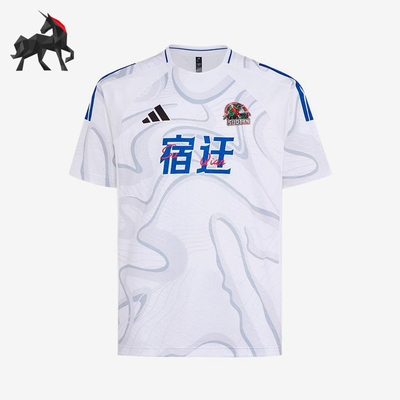 Adidas/阿迪达斯正品男女同款条纹透气运动套头短袖T恤LG1968