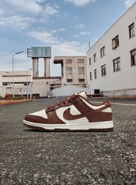 Nike/耐克正品Dunk Low女士经典耐磨低帮运动鞋IF3944-100