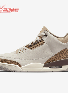 Nike/耐克正品Air Jordan 3男士复古耐磨经典篮球鞋CT8532-102