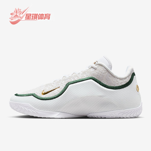 Nike/耐克正品2025秋季款男士减震低帮系带耐磨篮球鞋IB9563-101