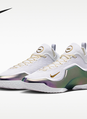 Nike/耐克正品LeBron新款男白紫色经典实战外场篮球鞋IB9558-100