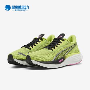 380081 Puma 运动厚底跑步鞋 女士缓震耐磨透气经典 彪马正品 新款