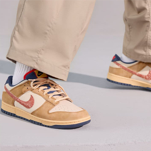 Low Dunk Retro SE男女复古轻便板鞋 790 Nike HQ3640 耐克正品