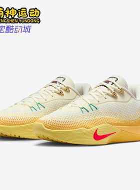 Nike/耐克正品S.T. Flare EP 男士缓震透气实战篮球鞋IM6681-067
