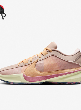 Nike/耐克正品ZOOM FREAK男士运动训练篮球鞋DX4985-200
