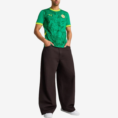 Puma彪马正品SENEGALDRYCELL塞内加尔男透气短袖足球777166-03