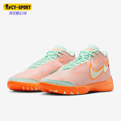 Nike/耐克正品LeBron男士缓震比赛耐磨经典时尚篮球鞋HF0711-301