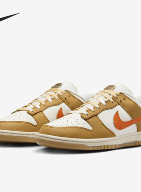 Nike/耐克官方正品Dunk Low Retro男士休闲透气板鞋HM3729-181