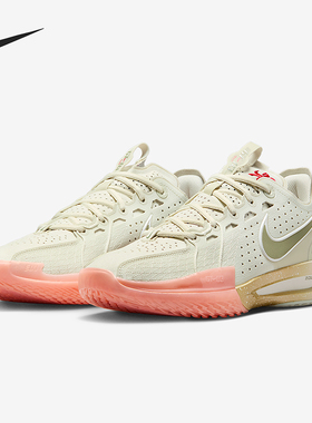 Nike/耐克正品四季款男士透气减震防滑实战时尚篮球鞋DV2913-005